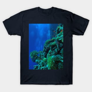 Red Sea Coral Reef T-Shirt